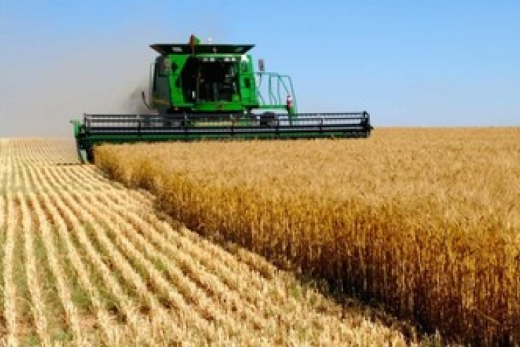 Более 60 инвестсоглашений на 43 млрд. рублей реализуются в Крыму в сфере сельского хозяйства