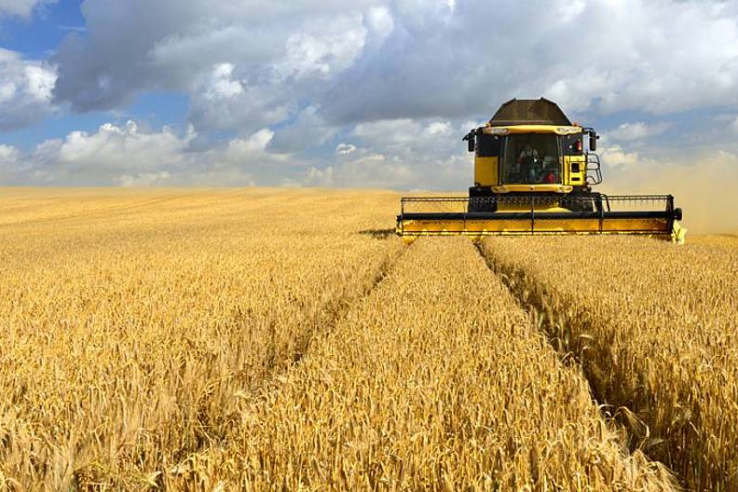 Почти два десятка фермерских хозяйств в Крыму получат 43 млн рублей господдержки