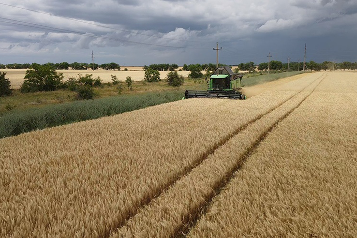 Аграрии Крыма уже собрали больше зерновых, чем в прошлом году